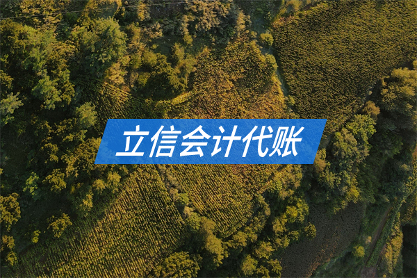 農(nóng)林漁牧?xí)?jì)服務(wù)